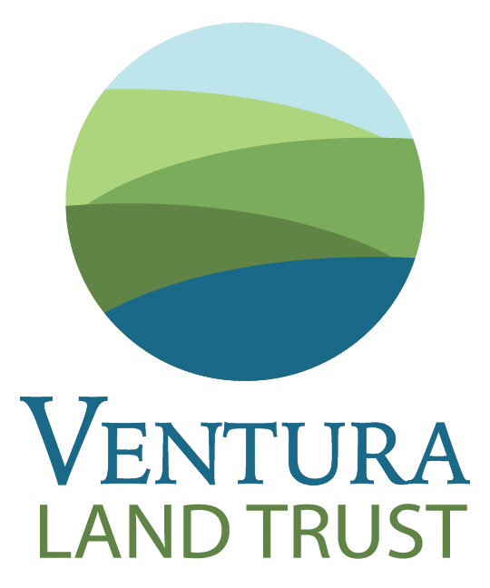 Corporate Client Logo